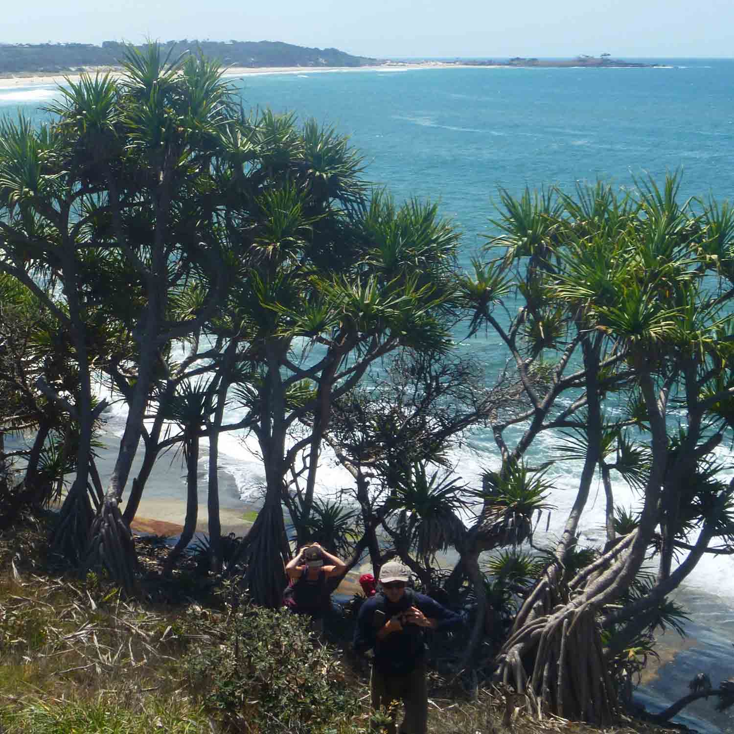 Two people walking along the Yuraygir Coastal guided walk with Connect Adventures